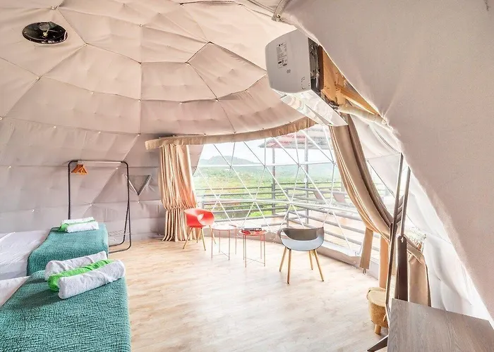 Pacific Glamp