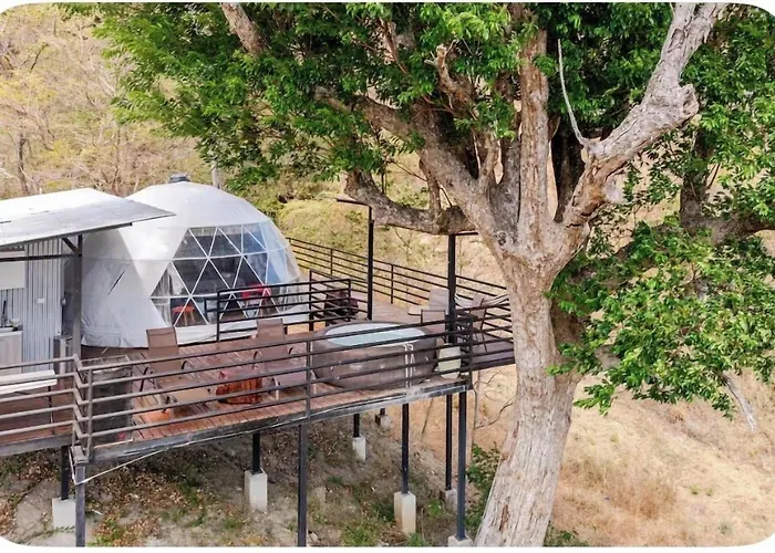Pacific Glamp *